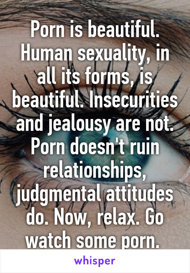 Porn is beautiful. Human sexuality, in all its forms, is beautiful. Insecurities and jealousy are not. Porn doesn't ruin relationships, judgmental attitudes do. Now, relax. Go watch some porn. 
