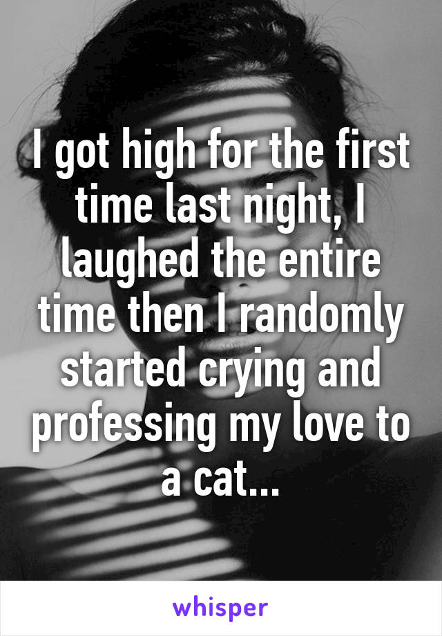 I got high for the first time last night, I laughed the entire time then I randomly started crying and professing my love to a cat...