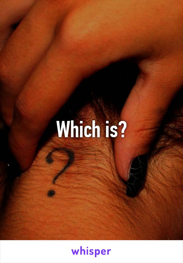 Which is?