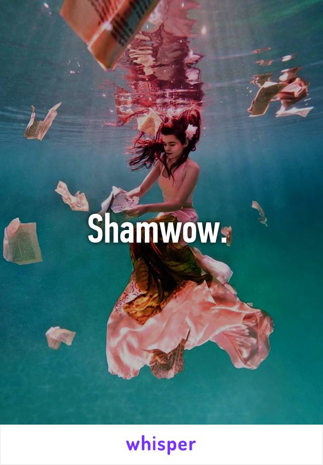 Shamwow. 