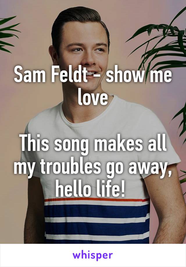 Sam Feldt - show me love

This song makes all my troubles go away, hello life! 