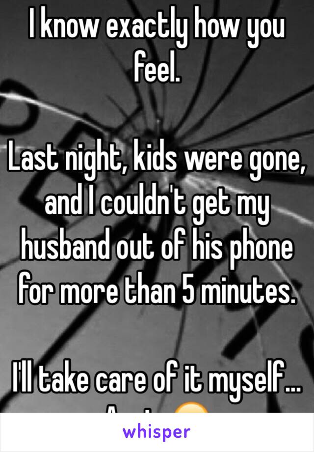 I know exactly how you feel. 

Last night, kids were gone, and I couldn't get my husband out of his phone for more than 5 minutes.

I'll take care of it myself... Again 😕