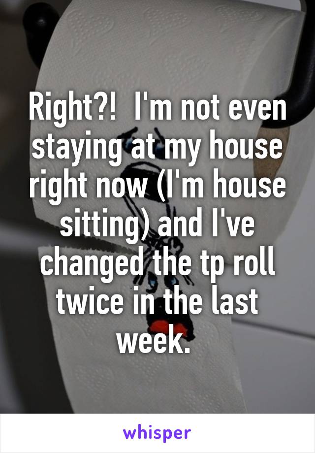 Right?!  I'm not even staying at my house right now (I'm house sitting) and I've changed the tp roll twice in the last week. 