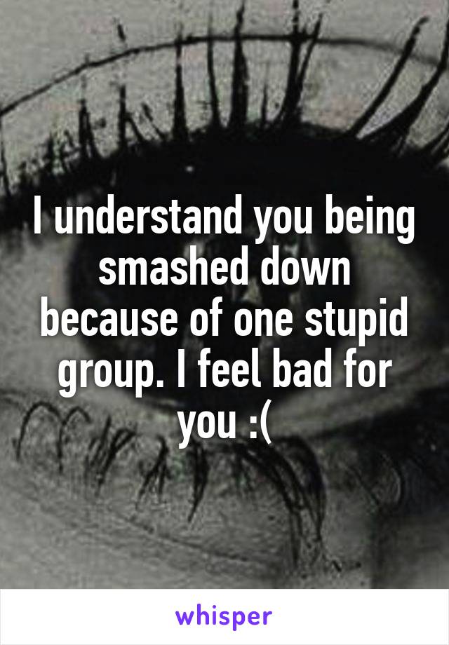 I understand you being smashed down because of one stupid group. I feel bad for you :(