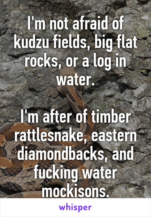 I'm not afraid of kudzu fields, big flat rocks, or a log in water.

I'm after of timber rattlesnake, eastern diamondbacks, and fucking water mockisons.