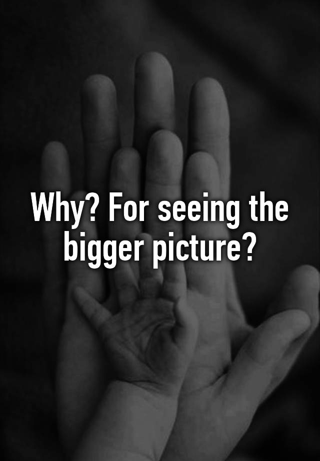 why-for-seeing-the-bigger-picture