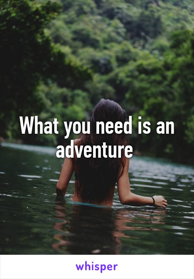 What you need is an adventure 