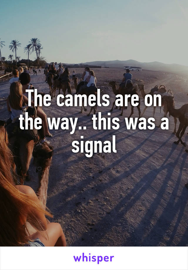 The camels are on the way.. this was a signal
