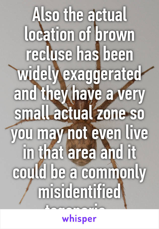 Also the actual location of brown recluse has been widely exaggerated and they have a very small actual zone so you may not even live in that area and it could be a commonly misidentified teganaria  