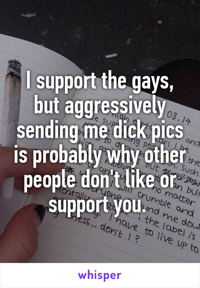 I support the gays, but aggressively sending me dick pics is probably why other people don't like or support you. 