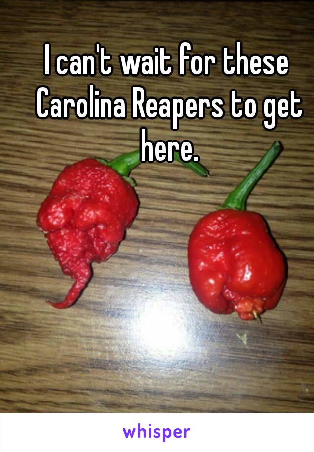 I can't wait for these Carolina Reapers to get here.