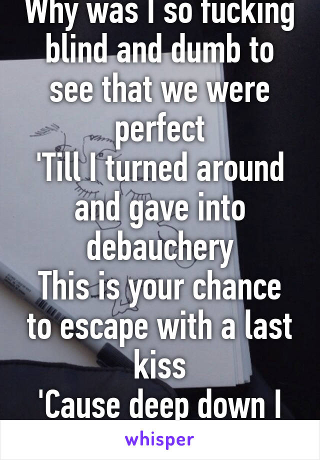 Why was I so fucking blind and dumb to see that we were perfect
'Till I turned around and gave into debauchery
This is your chance to escape with a last kiss
'Cause deep down I know that