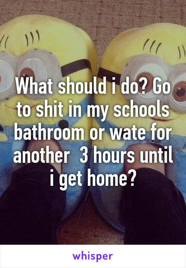 What should i do? Go to shit in my schools bathroom or wate for another  3 hours until i get home?