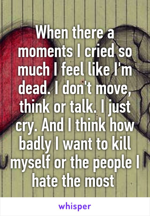 When there a moments I cried so much I feel like I'm dead. I don't move, think or talk. I just cry. And I think how badly I want to kill myself or the people I hate the most 