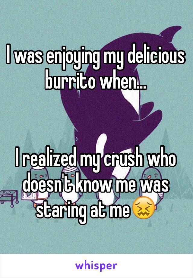 I was enjoying my delicious burrito when...


I realized my crush who doesn't know me was staring at me😖