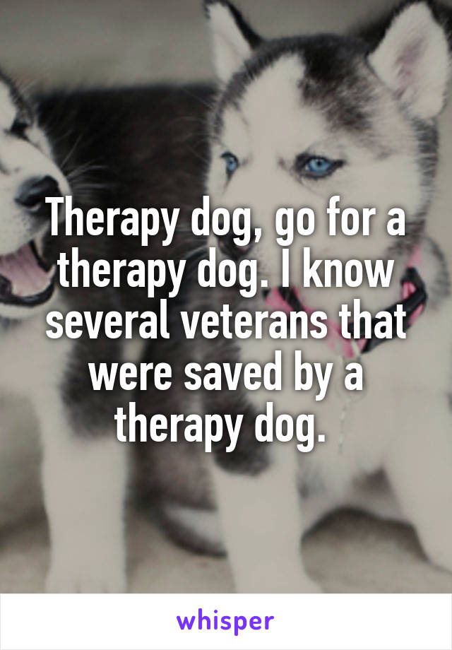 Therapy dog, go for a therapy dog. I know several veterans that were saved by a therapy dog. 