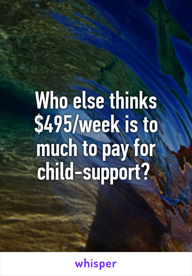 Who else thinks $495/week is to much to pay for child-support? 