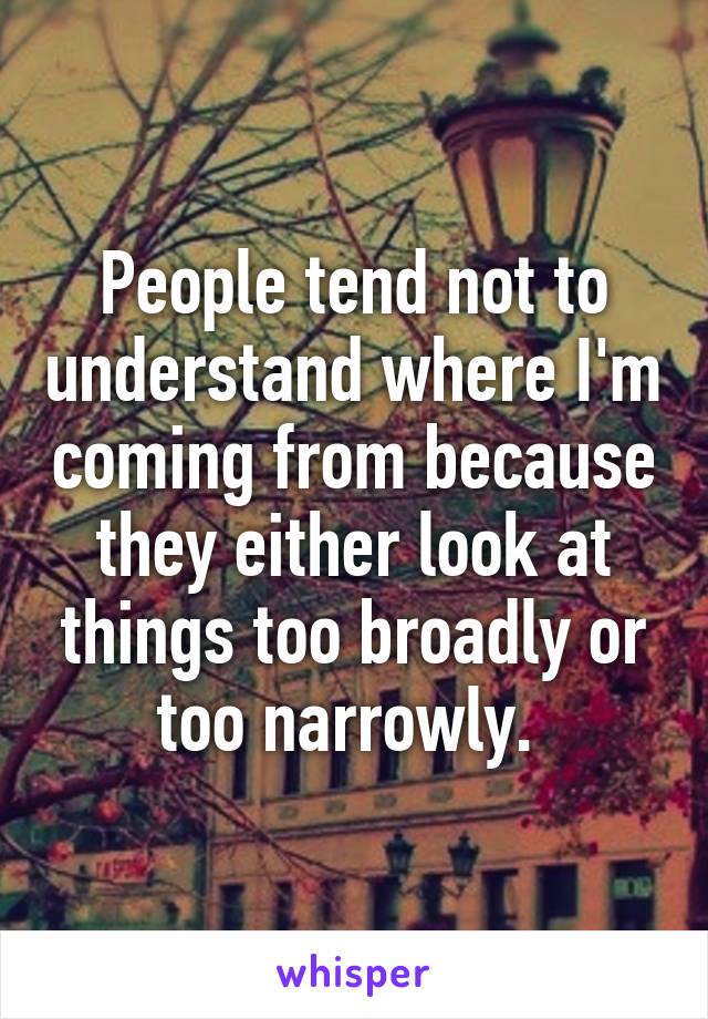 People tend not to understand where I'm coming from because they either look at things too broadly or too narrowly. 