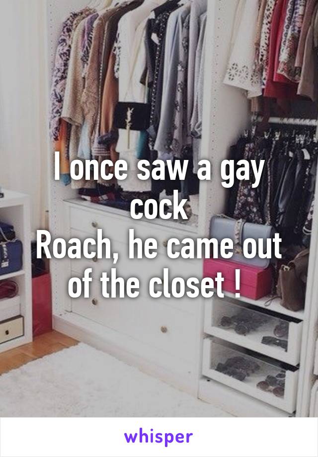 I once saw a gay cock
Roach, he came out of the closet ! 