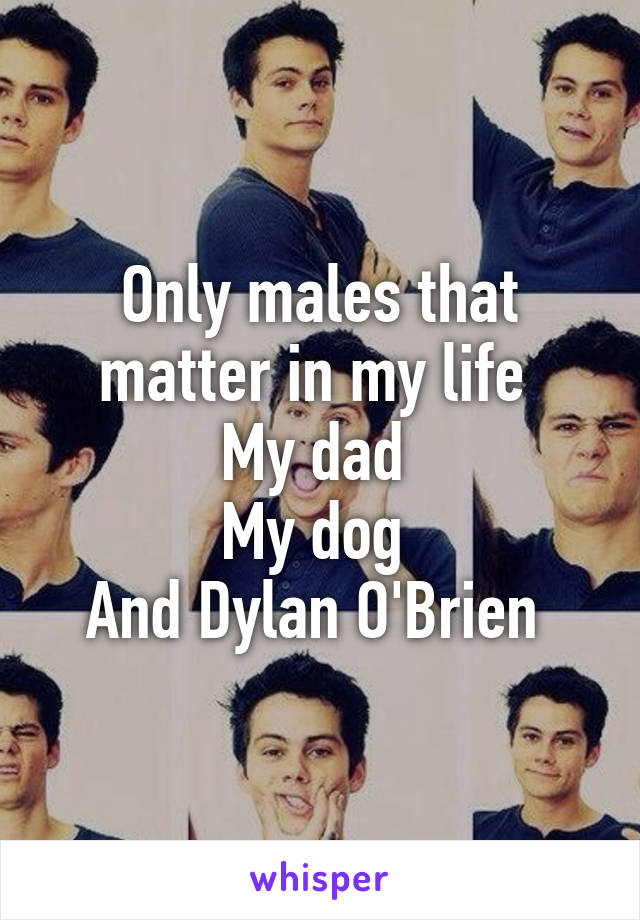 Only males that matter in my life 
My dad 
My dog 
And Dylan O'Brien 