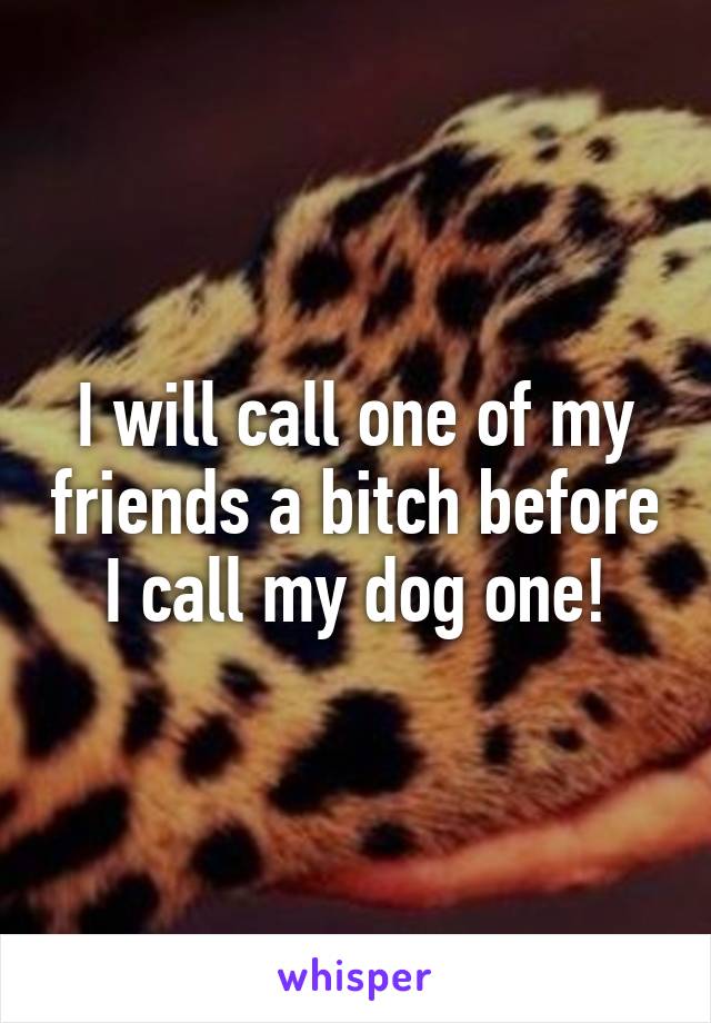 I will call one of my friends a bitch before I call my dog one!