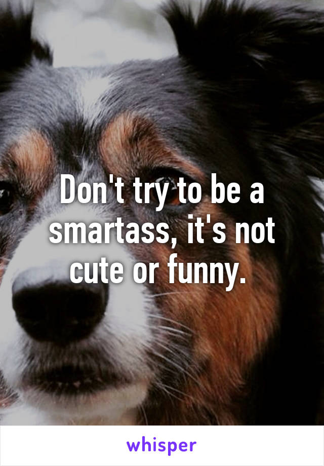 Don't try to be a smartass, it's not cute or funny. 