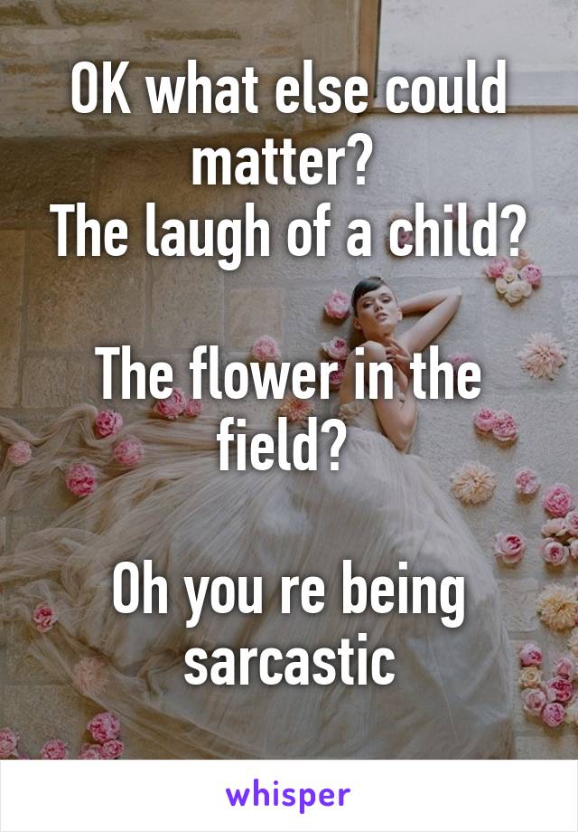 OK what else could matter? 
The laugh of a child? 
The flower in the field? 

Oh you re being sarcastic
