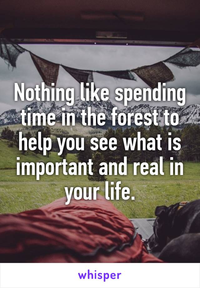 Nothing like spending time in the forest to help you see what is important and real in your life.