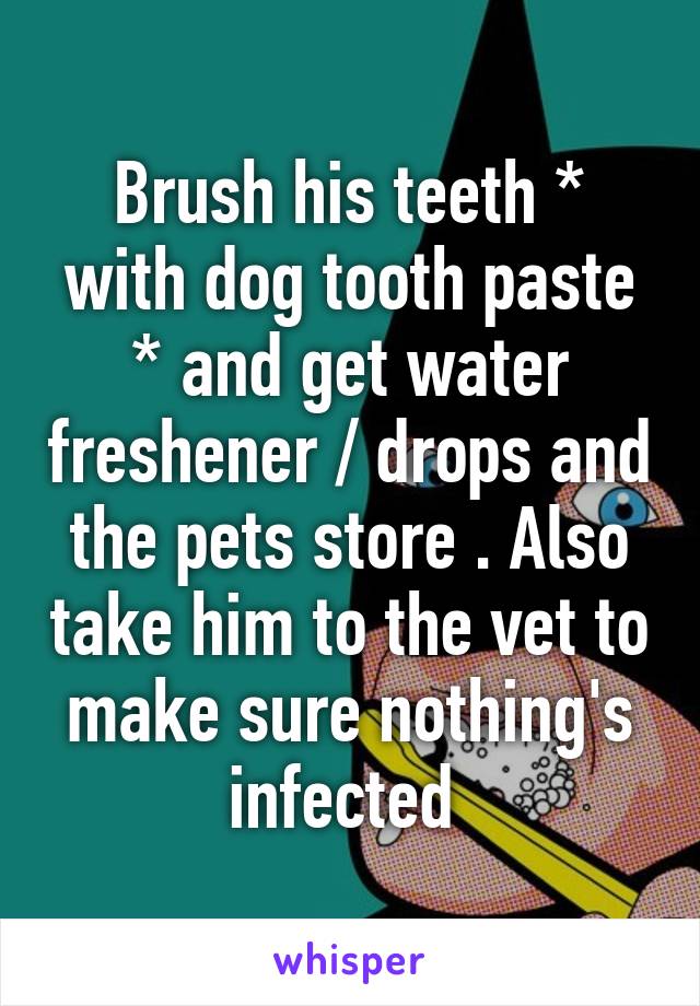 Brush his teeth * with dog tooth paste * and get water freshener / drops and the pets store . Also take him to the vet to make sure nothing's infected 