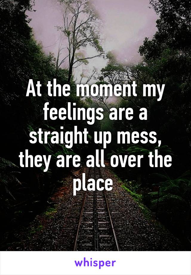 At the moment my feelings are a straight up mess, they are all over the place 