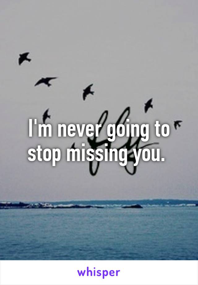 I'm never going to stop missing you. 