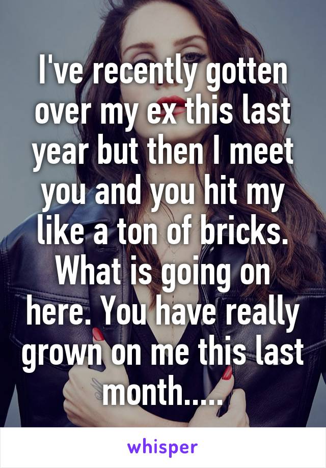 I've recently gotten over my ex this last year but then I meet you and you hit my like a ton of bricks. What is going on here. You have really grown on me this last month.....