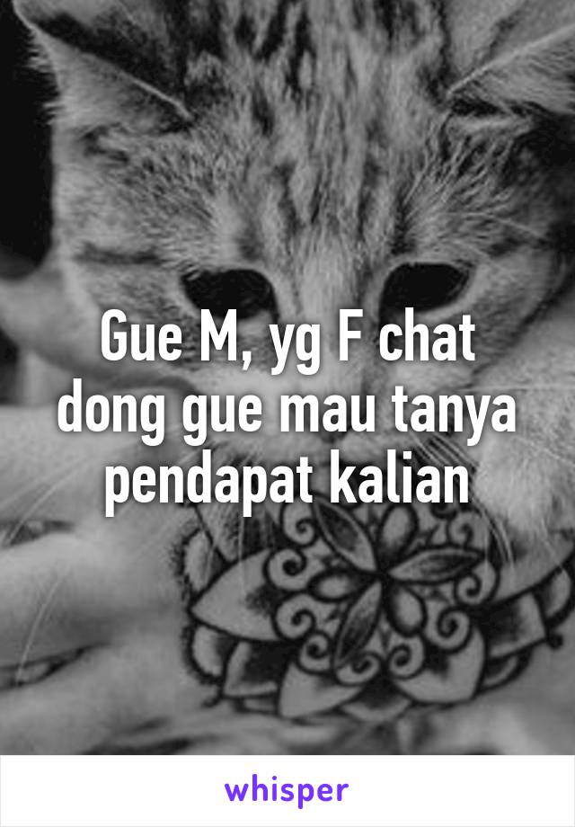 Gue M, yg F chat dong gue mau tanya pendapat kalian