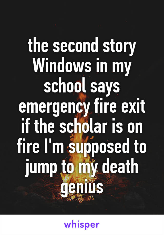 the second story Windows in my school says emergency fire exit
if the scholar is on fire I'm supposed to jump to my death
genius