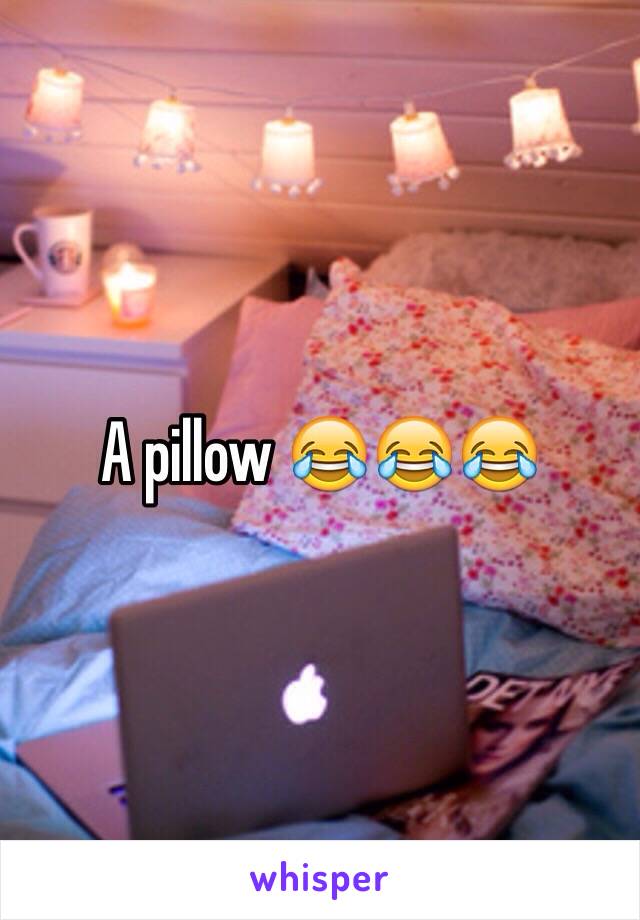 A pillow 😂😂😂