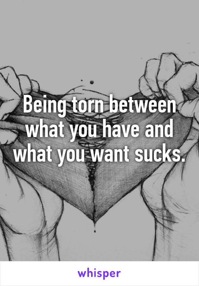 Being torn between what you have and what you want sucks. 