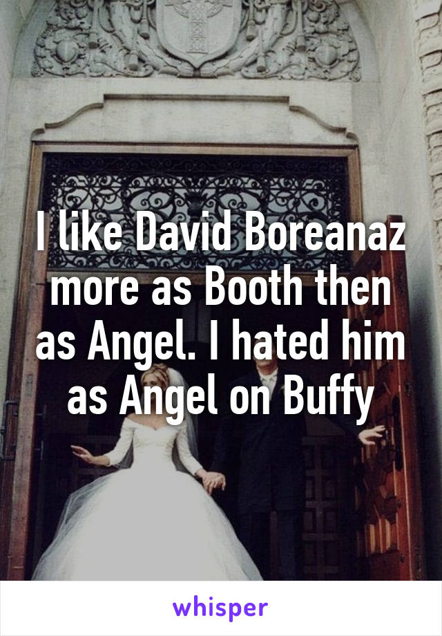 I like David Boreanaz more as Booth then as Angel. I hated him as Angel on Buffy