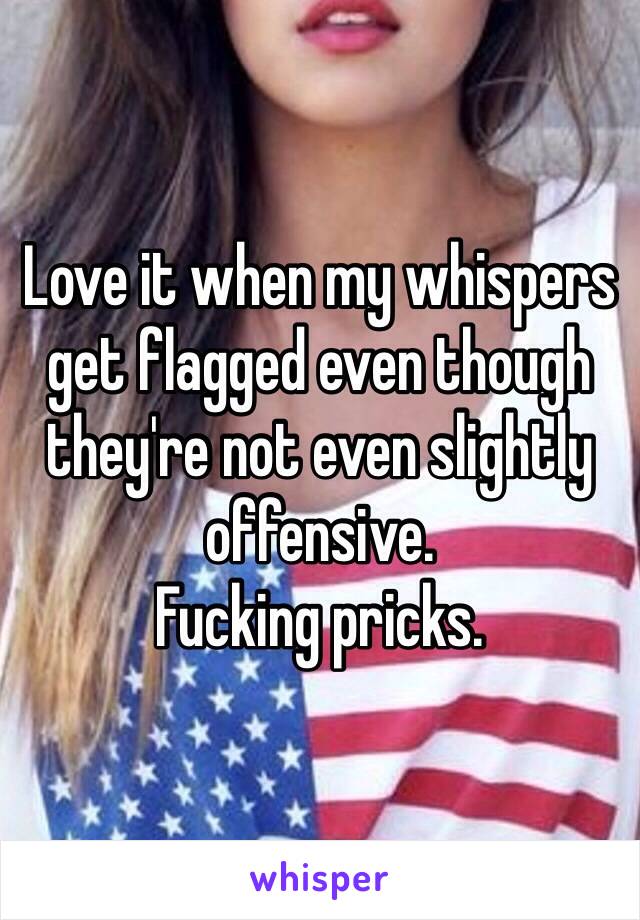 Love it when my whispers get flagged even though they're not even slightly offensive. 
Fucking pricks. 