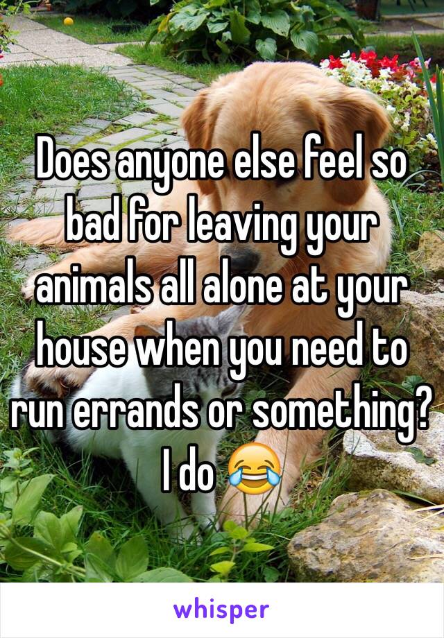 Does anyone else feel so bad for leaving your animals all alone at your house when you need to run errands or something? I do 😂