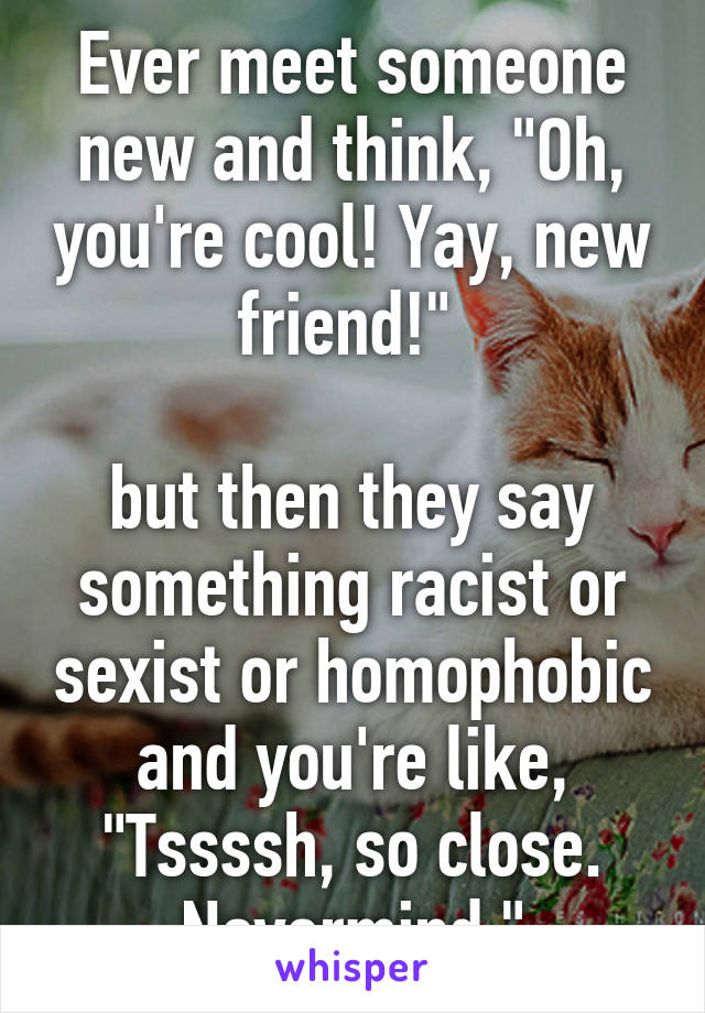 Ever meet someone new and think, "Oh, you're cool! Yay, new friend!" 

but then they say something racist or sexist or homophobic and you're like, "Tssssh, so close. Nevermind."