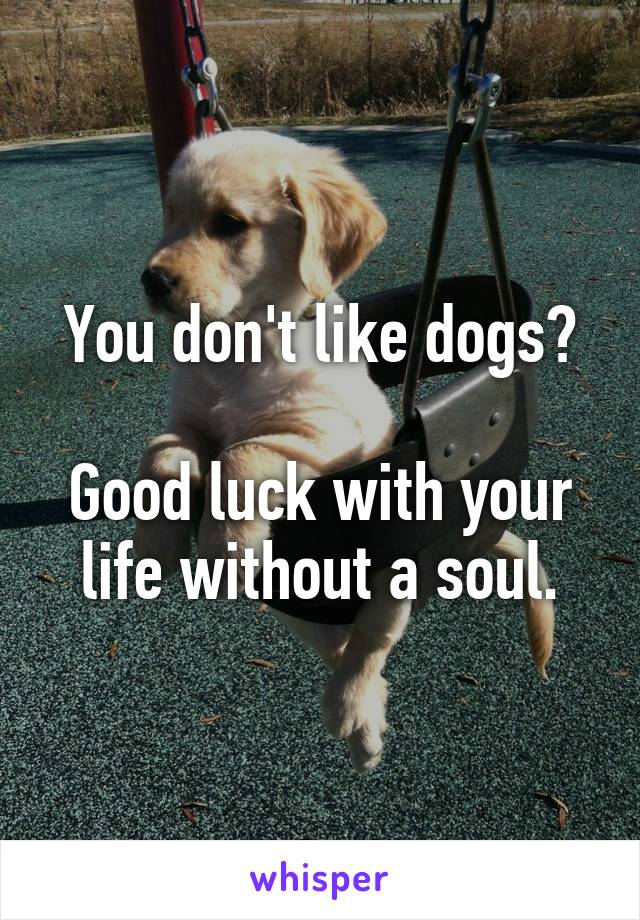 You don't like dogs?

Good luck with your life without a soul.