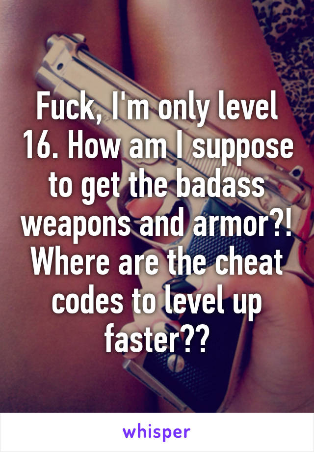 Fuck, I'm only level 16. How am I suppose to get the badass weapons and armor?! Where are the cheat codes to level up faster??