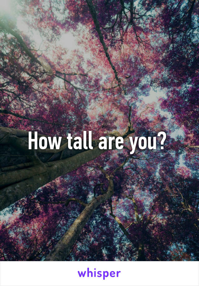 How tall are you? 