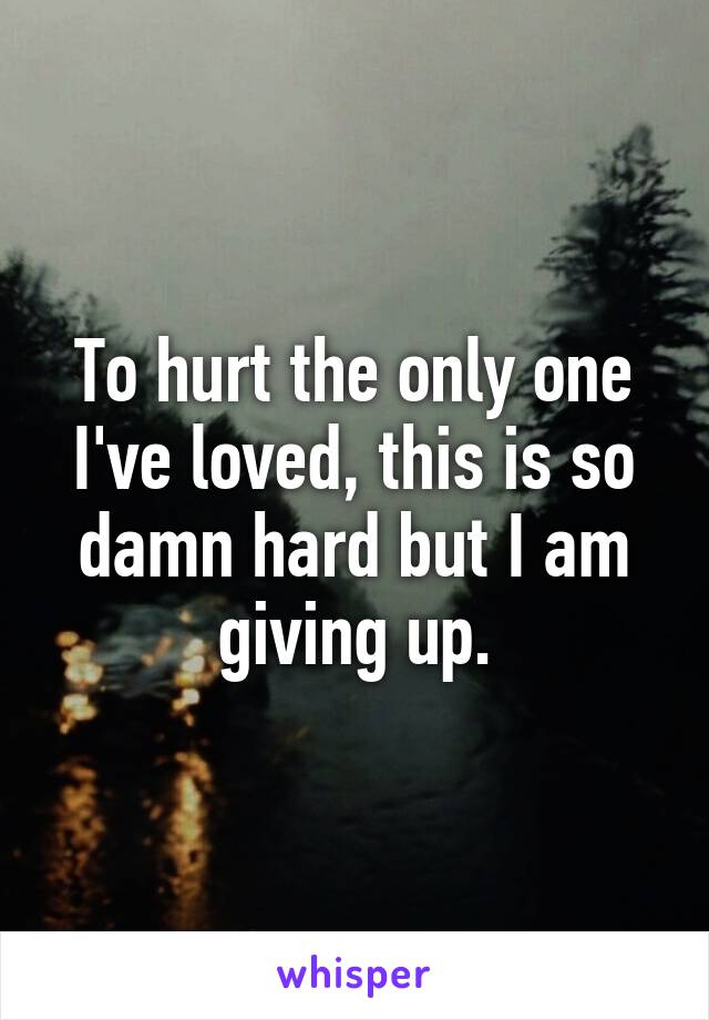 To hurt the only one I've loved, this is so damn hard but I am giving up.