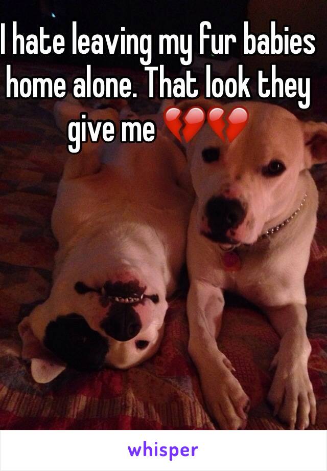 I hate leaving my fur babies home alone. That look they give me 💔💔