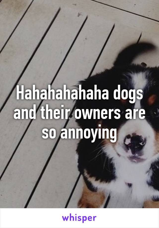 Hahahahahaha dogs and their owners are so annoying