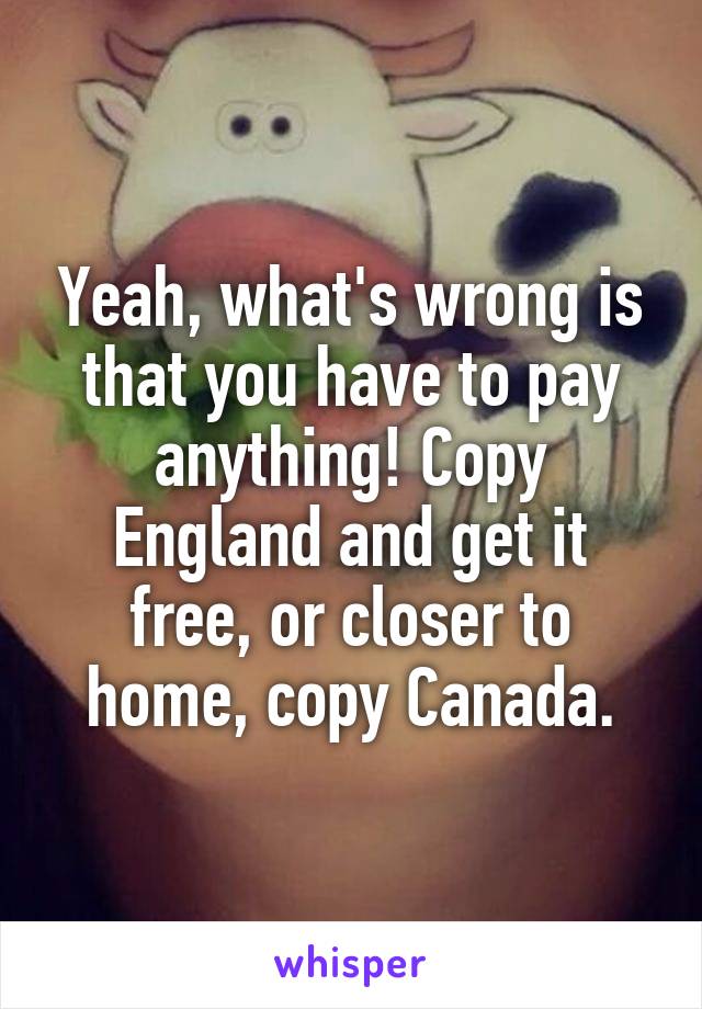 Yeah, what's wrong is that you have to pay anything! Copy England and get it free, or closer to home, copy Canada.