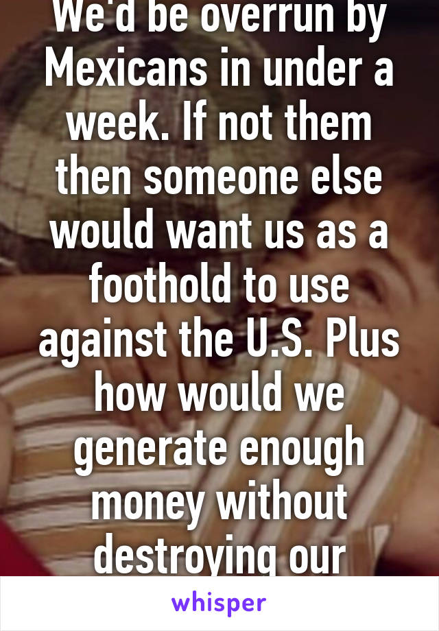 We'd be overrun by Mexicans in under a week. If not them then someone else would want us as a foothold to use against the U.S. Plus how would we generate enough money without destroying our resources?