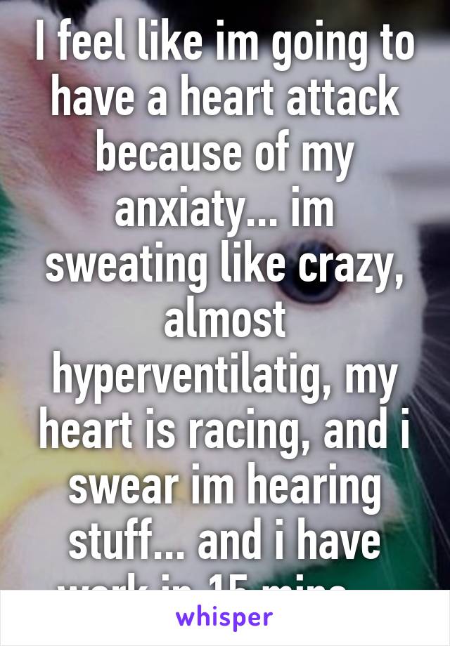 I feel like im going to have a heart attack because of my anxiaty... im sweating like crazy, almost hyperventilatig, my heart is racing, and i swear im hearing stuff... and i have work in 15 mins....