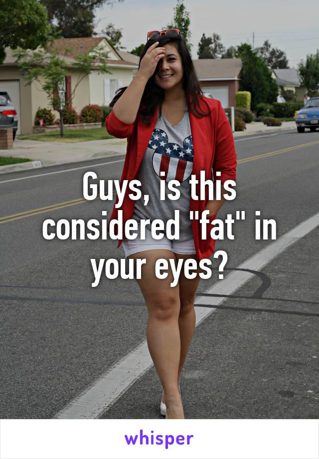 Guys, is this considered "fat" in your eyes?